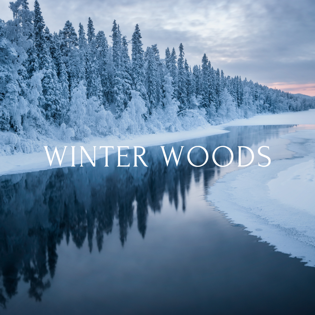 Winter Woods - January
