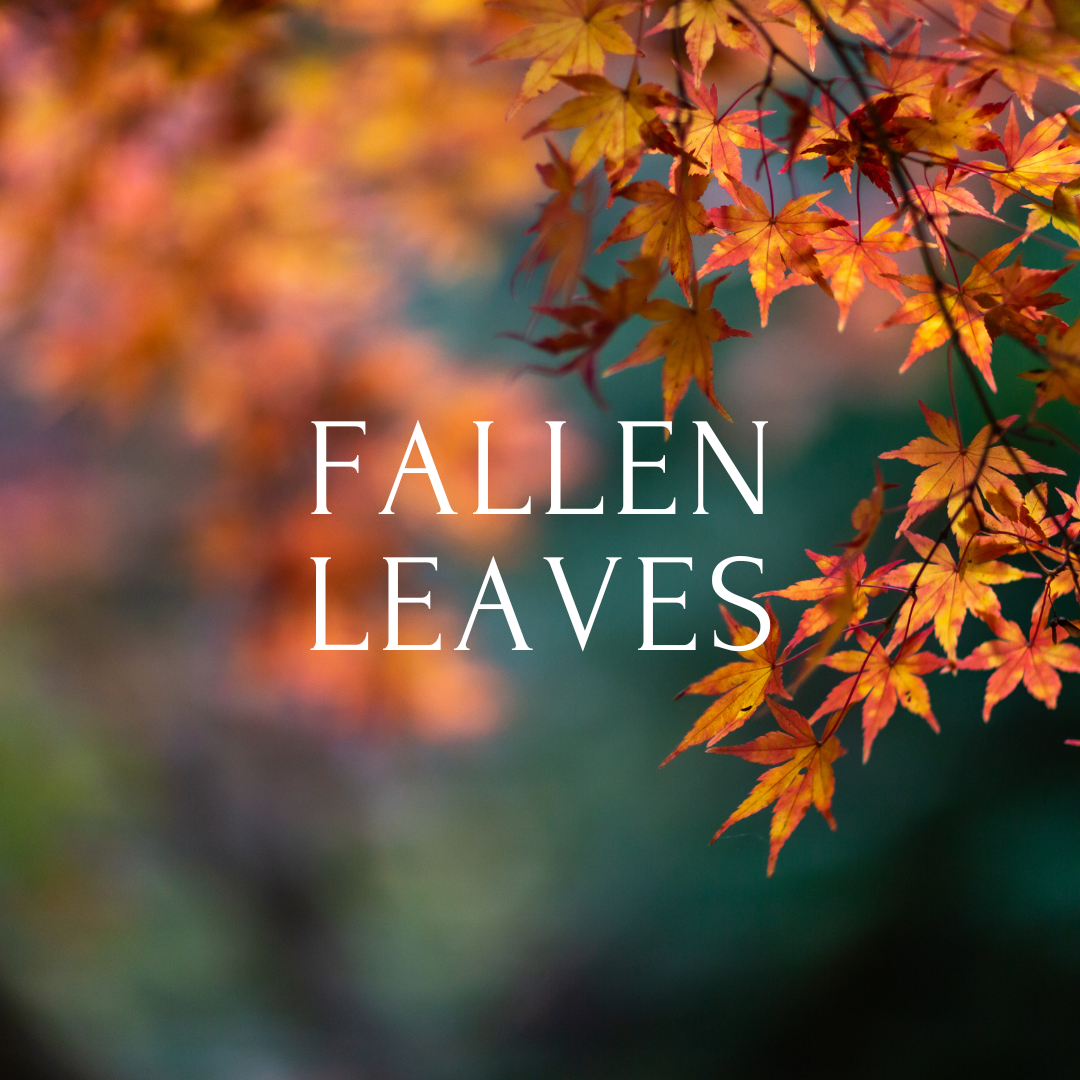 Fallen Leaves - September