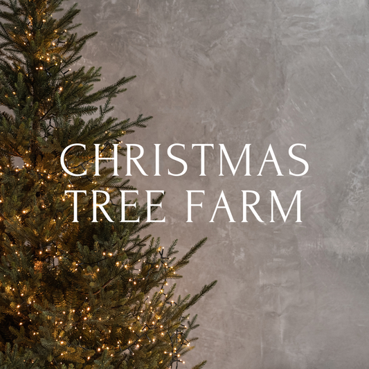 Christmas Tree Farm - December